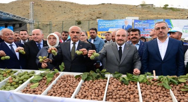 Güngör; Çağlayancerit Cevizi markalaşacak