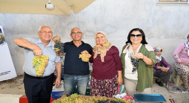 Kavacık Üzüm Festivali, binlerce kişiyi ağırladı