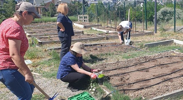 Kent Tarım’da sonbahar dönemi başlıyor