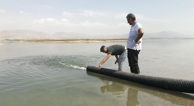 Malatya’nın Sularına 2.5 Milyon Yavru Sazan Bırakıldı