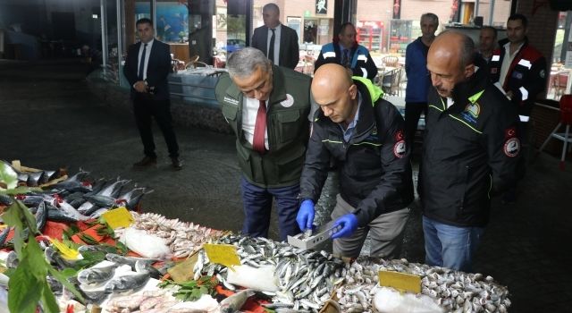 Samsun’da Su Ürünleri Denetimleri Devam Ediyor