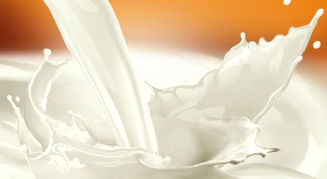 Türk Veteriner Hekimleri Birliği; süt primi 1 TL olmalı