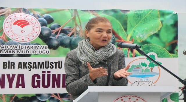 1.Aronya Günleri” birbirinden lezzetli tariflerle Yürüyen Köşk’te yapıldı