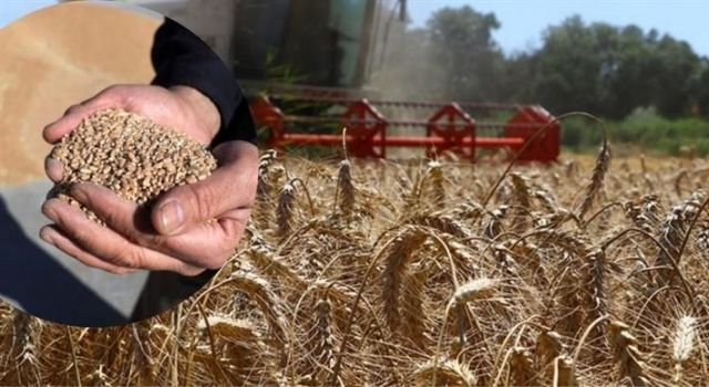 Bakan Kirişci, Tarımsal Destekleme Ödemelerinin Çiftçilerin Hesaplarına Aktarıldığını Bildirdi