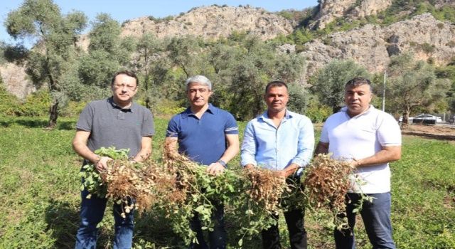 Başkan Oktay: Üretmenin gururunu yaşıyoruz