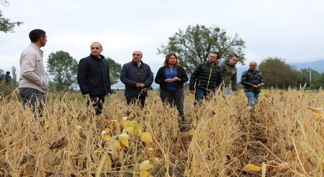 Bolu’da Soya Fasulyesinde yeni tür yeni heyecan