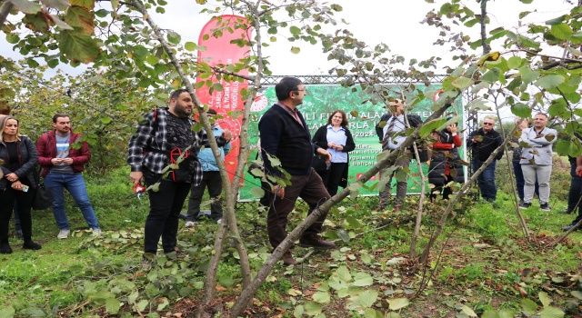 “Fındık alanları teknik uygulamalarla iyileşiyor” proje eğitim toplantısı Çarşamba’da yapıldı