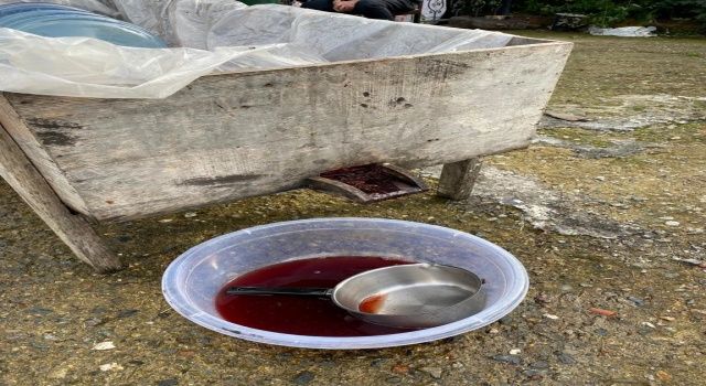 Giresun’da Kokulu Üzüm Pekmezi Yapımı Başladı