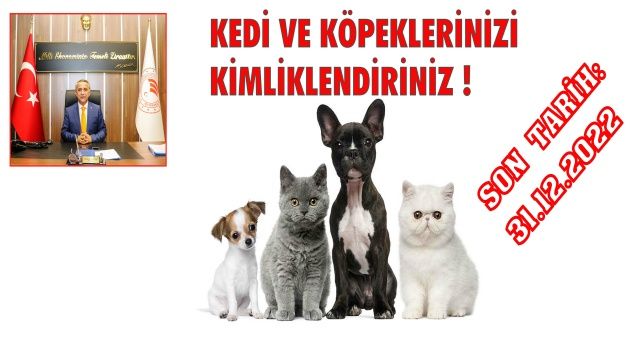 Her yaştan kedi ve köpeklerin kimliklendirilebilmesi için son gün 31 Aralık