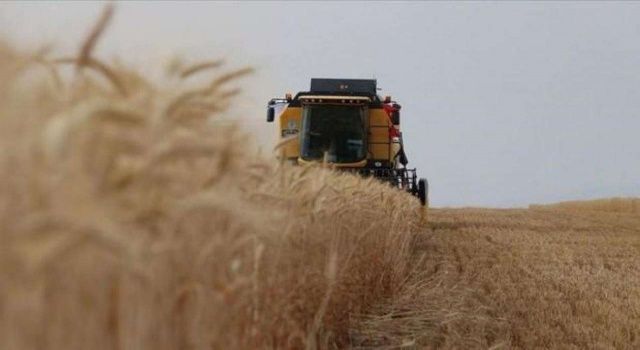 Tarım üretici fiyatlarında yıllık artış yeniden yüzde 150’nin üstünde