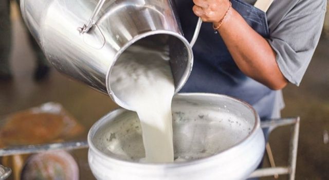 Ulusal Süt Konseyinin Çiğ Süt Maliyet Hesabı Gerçeği Yansıtmamaktadır