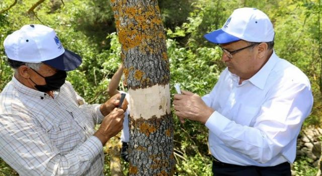 Yunusemre üreticisine desteğini sürdürüyor