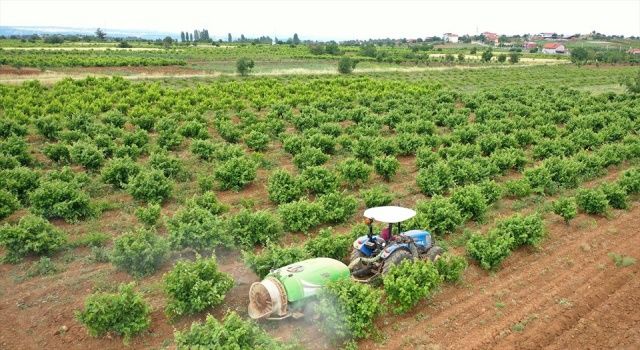 Başkan Zolan: Üretim sizden, destek bizden