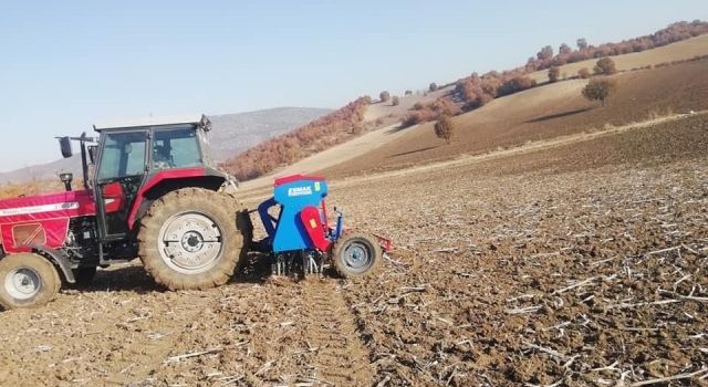 Samsun’da Buğday Ekimi Devam Ediyor
