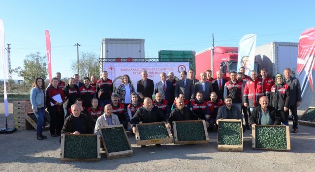 Samsun’da Üreticilere Brokoli Fidesi Dağıtımı Gerçekleştirildi