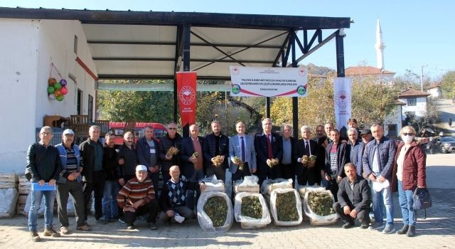 Sermayecikli Çiftçilere 61 Bin 213 Adet Çilek Fidesi Dağıtıldı