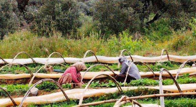 Tarım Ve Suyun Geleceği Ödemiş'te Konuşulacak!