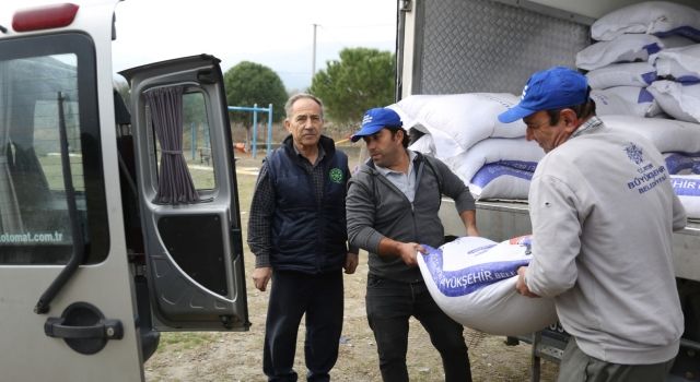 Aydın Büyükşehir Belediyesi’nden Küçük Aile İşletmelerine Yem Desteği