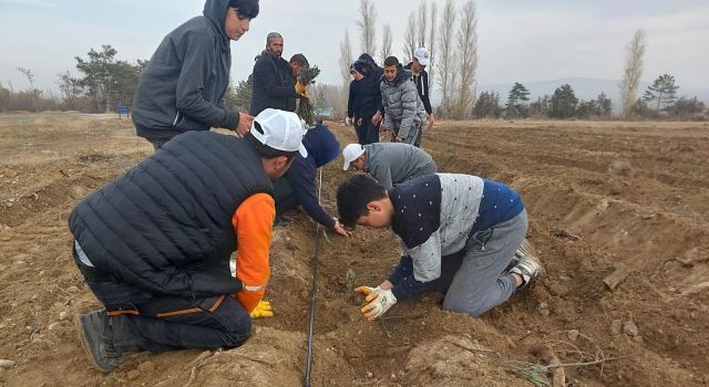 Konya Büyükşehir’in Üreticiye Lavanta Fidesi Desteği Sürüyor