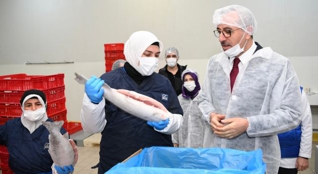 Başkan Güngör; “Balık Üretiminde Öncü Şehiriz”