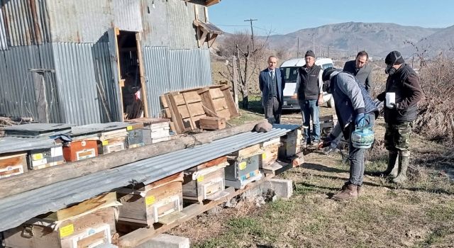 Bolu’da Varroa Zararlısına Karşı İlaçlama Çalışmaları Yapıldı