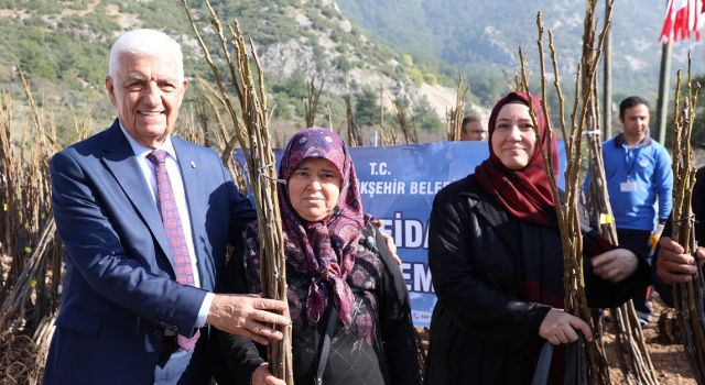 Büyükşehir Meyve Fidanı Desteğine Başlıyor