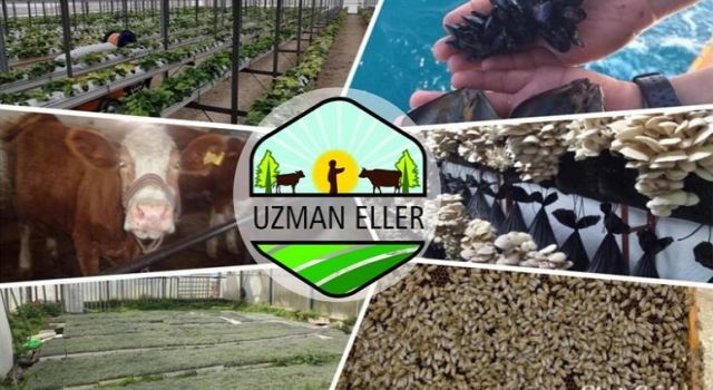 Uzman Eller Proje Desteği 250 Bin Liraya Çıkarıldı