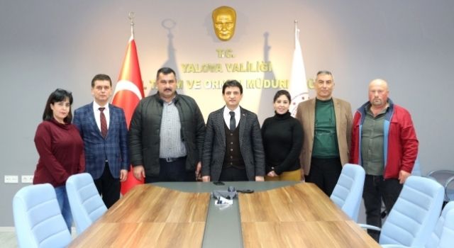 Yalova Kıvırcığında Üçüncü Dönem Başladı