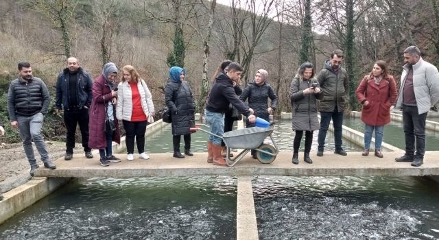 Bolu’da Üreticilere Balık Yetiştiriciliği Eğitimi Veriliyor