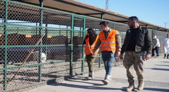 Paw Guards üyeleri Hayvan Bakım ve Rehabilitasyon Merkezi'ni gezdi