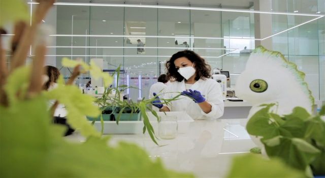 Bayer ve Kimitec, yeni nesil biyolojik tarım ürünleri için güçlerini birleştiriyor