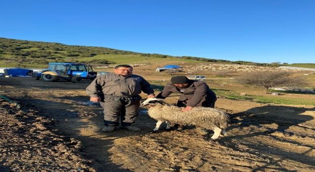 Denizli Depremden Etkilenen Üreticilerimizi de Unutmadı