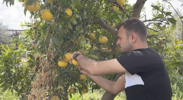 Hatay’daki üreticilere destek