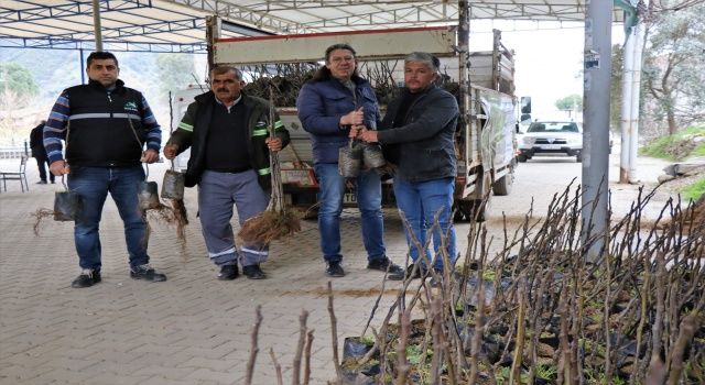 Nazilli Belediyesi üreticinin yanında