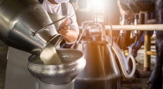 Ticari süt işletmelerince toplanan inek sütü miktarı %4.4 arttı