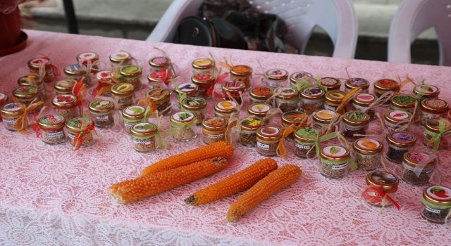 Tohum değişim ve destekleme günü etkinliği büyük ilgi gördü