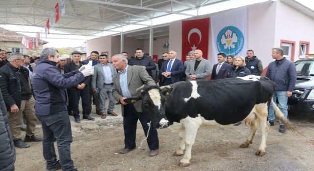 Büyükşehirden hayvan üreticilerine önemli destek