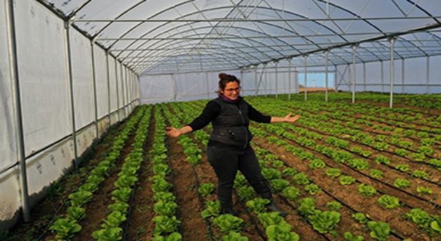 Büyükşehir’in kurduğu modern seralardaki verim üreticiyi sevindirdi