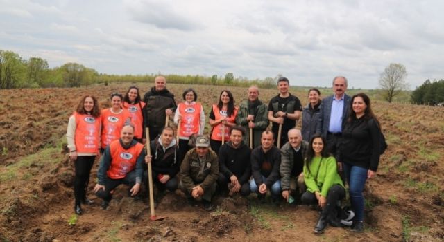 TEMA Vakfı sözünü tuttu: 30’uncu yıla özel 7 bölgede 7 orman!