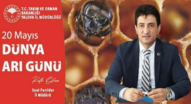 İl Tarım Ve Orman Müdürü Suat Parıldar’dan Dünya Arı Günü Mesajı