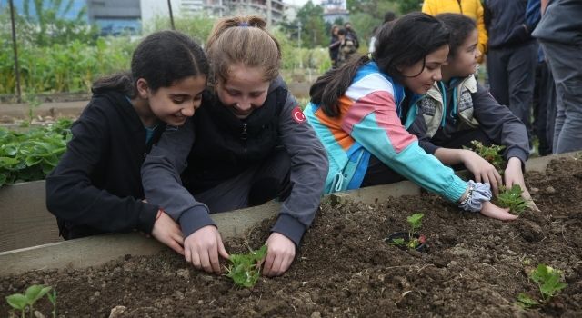 Öğrenciler Mini Bostan’da fide dikti