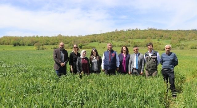 Sağlam: Taban patlatma işlemi ile verim artıyor