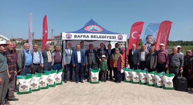 Samsun’da kuru fasulye yetiştiriciliği hibe tohumla artırılıyor