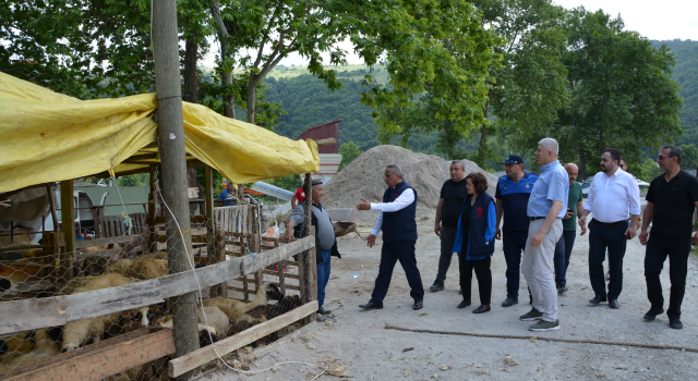 İl Müdüründen İlkadım Kurban Satış Noktasına Ziyaret