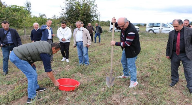 İl Tarımda Toprak Analizleri Devam Ediyor