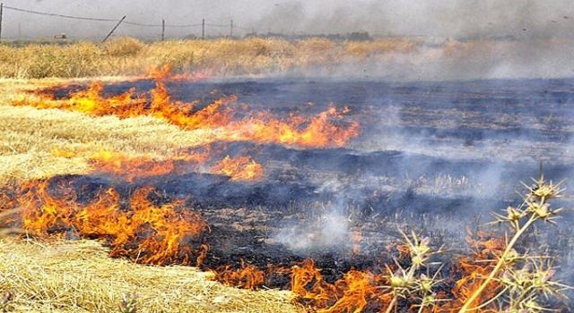 Anız yakma, yeşil vatanı ve toprağını koru