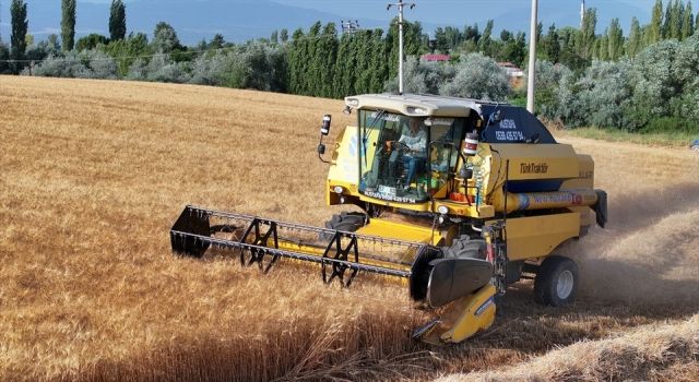 Başkan Zolan bu kez biçerdöverle buğday hasadı yaptı