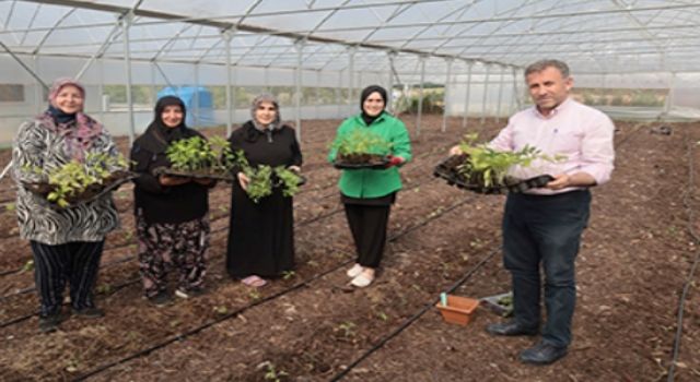 Büyükşehir’den kadın girişimcilere tarımsal destek