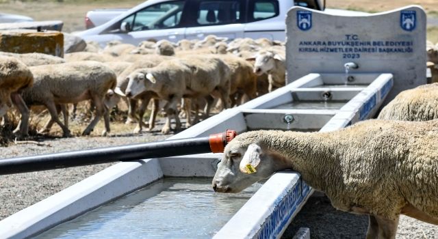 Kırsal bölgelerde sıvat desteği sürüyor