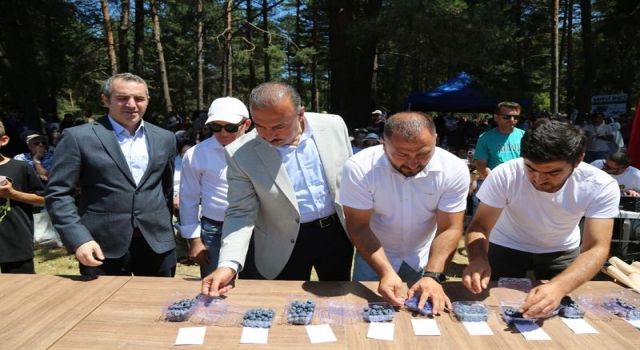 Maviyemiş Festivali coşkulu etkinliklerle karşılandı